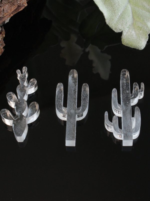 Cactus Silicone Resin Mold - 3 in 1