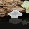 Dino Silicone Resin Mold - Design 01
