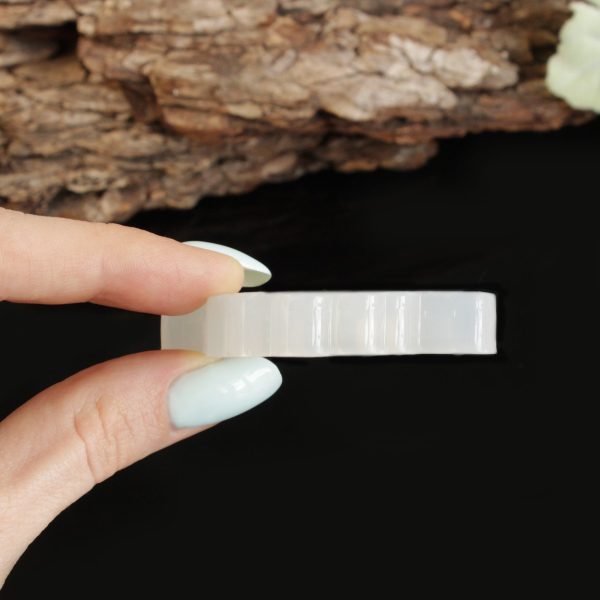 Dino Silicone Resin Mold - Design 01